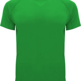 Green Fern