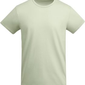 Mist Green