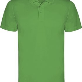 Green Fern