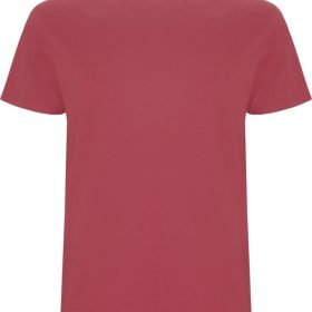 Chrysanthemum Red